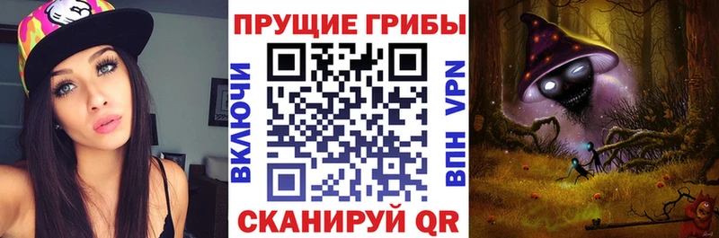 Псилоцибиновые грибы Psilocybine cubensis  Купить закладки  Алексеевка 